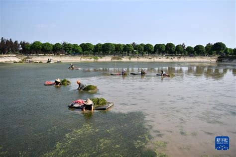 大通湖|“洞庭之心”大通湖：从水下荒漠到水下森林的蜕变